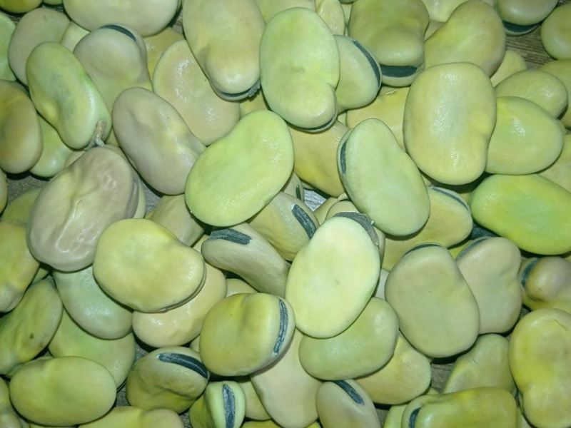 venta de Habas en lima peru