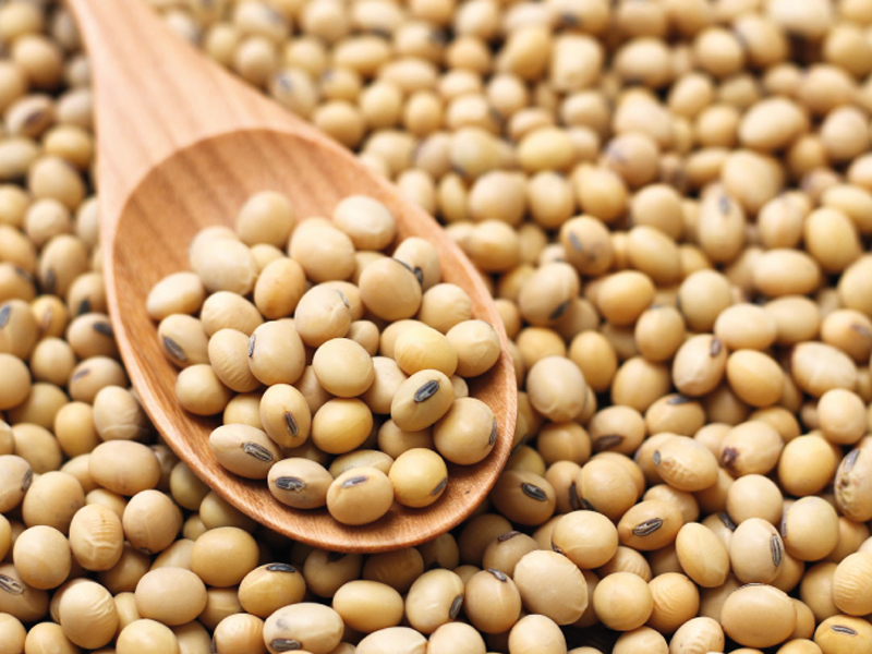 Soya